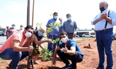 COM REVITALIZAÇÃO DA PRAÇA HELON GOMIDE, PREFEITURA INICIA REPLANTIO E PLANTIO DE MAIS DE 5 MIL MUDAS EM TRINDADE