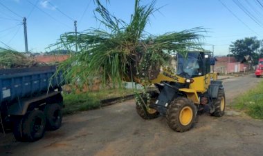 AS FRENTES DE SERVIÇOS DO PROGRAMA PREFEITURA TRABALHANDO POR VOCÊ CONTINUAM A TODO VAPOR ATUANDO EM BAIRROS DE TRINDADE