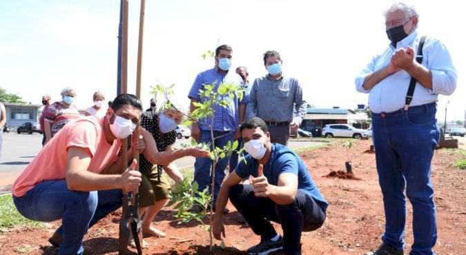 COM REVITALIZAÇÃO DA PRAÇA HELON GOMIDE, PREFEITURA INICIA REPLANTIO E PLANTIO DE MAIS DE 5 MIL MUDAS EM TRINDADE