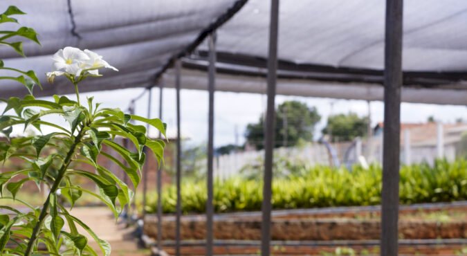 BALANÇO 2021: TRINDADE SE CONSOLIDA COMO MUNICÍPIO DA REGIÃO METROPOLITANA QUE MAIS INVESTE EM MEIO AMBIENTE